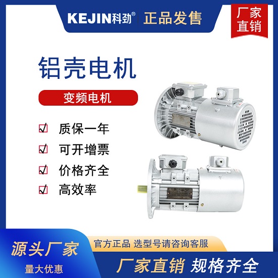 科劲电机定制变频电机 功率齐全 欢迎咨询15924308848