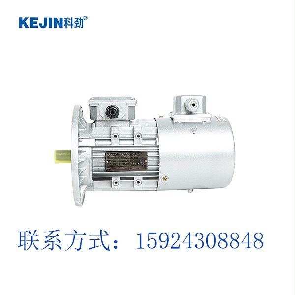 变频电机,电机变频器,科劲电机
