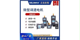 微型调速电机漏油原因分析