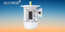 三相异步电机,三相铝壳电机,科劲电机