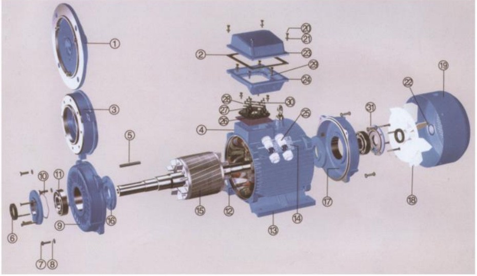 三相异步电动机分解图 DECOMPOSITION DIAGRAM OF THREE-PHASE ASYNCHRONOUS MOTOR