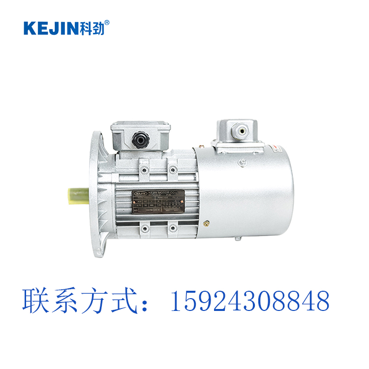 变频电机,电机变频器,科劲电机