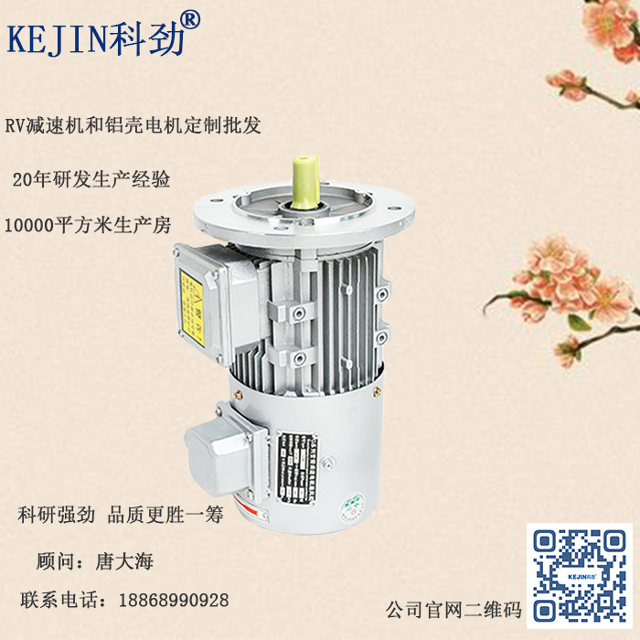 三相变频电机 变频电机厂家盘货电机噪声发生的原因