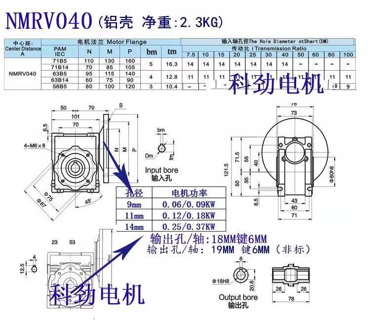 RV40